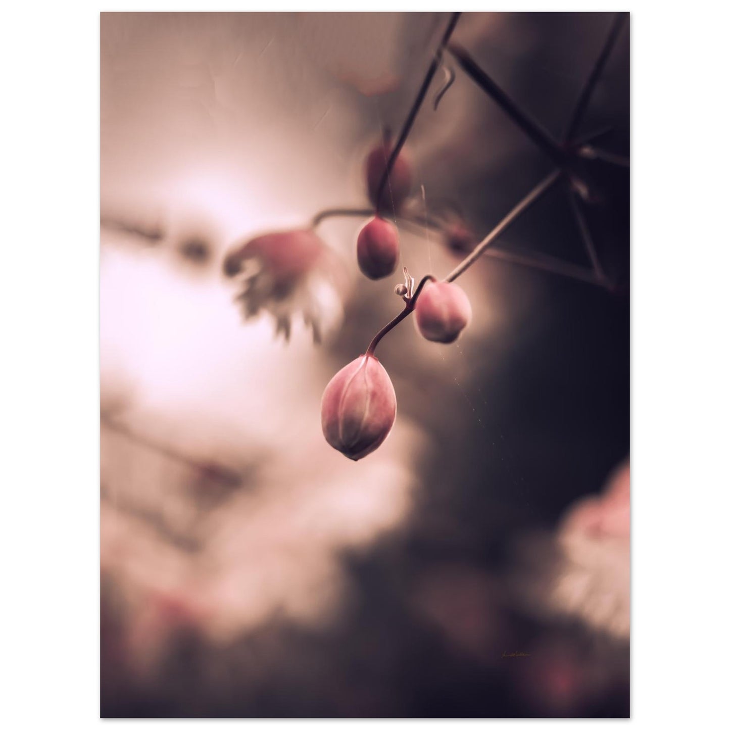 003eba85-7e65-47ca-8761-fa54e3ad09b7
