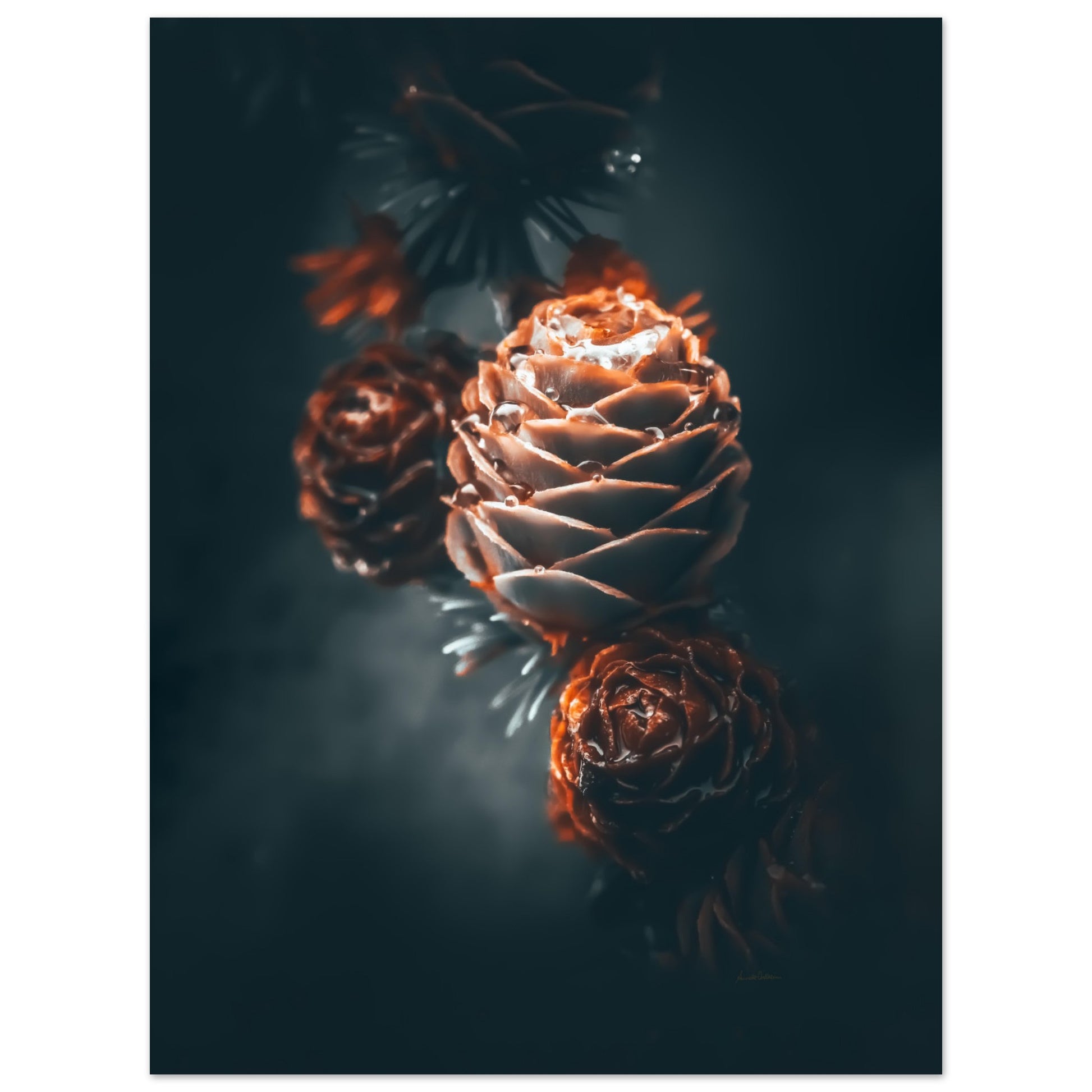 0c6f7799-fd07-44cf-9344-4c5871c0ff82