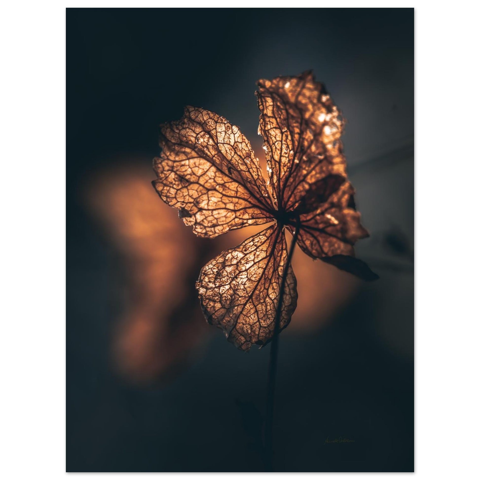 0d4fcf44-13ee-479f-aab7-b78334e0c057
