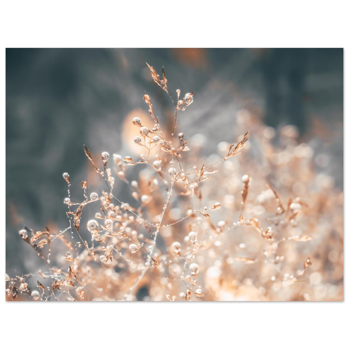 0f15cf09-98d6-435f-b6fa-9576b3effccd