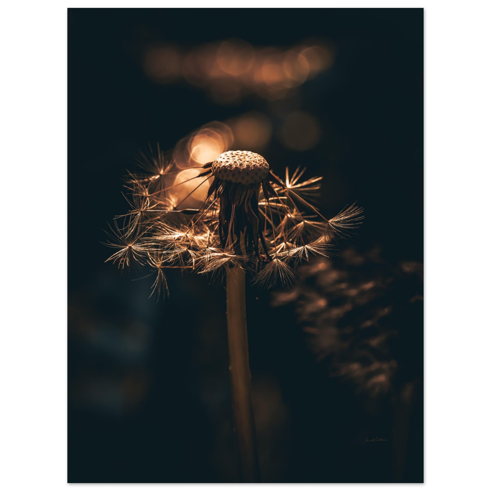 0f555869-1e86-4b6c-a438-efa80d89ac0d