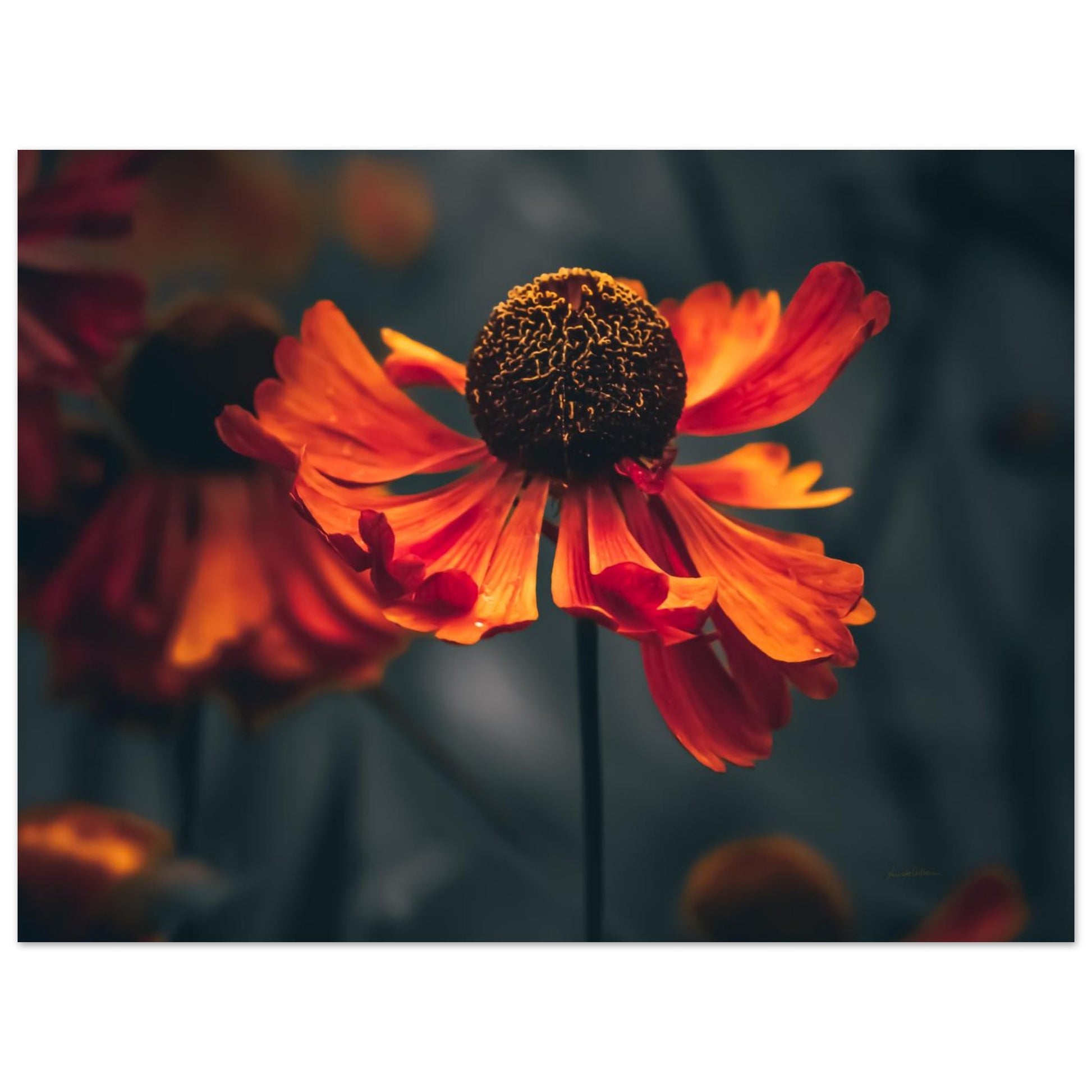0f811832-6c4e-4278-84db-f706e5aca3f3