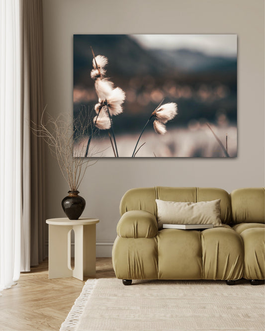 Safe harbour - landscape format