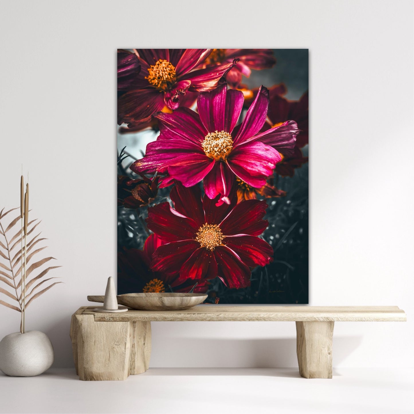 Cosmos life I