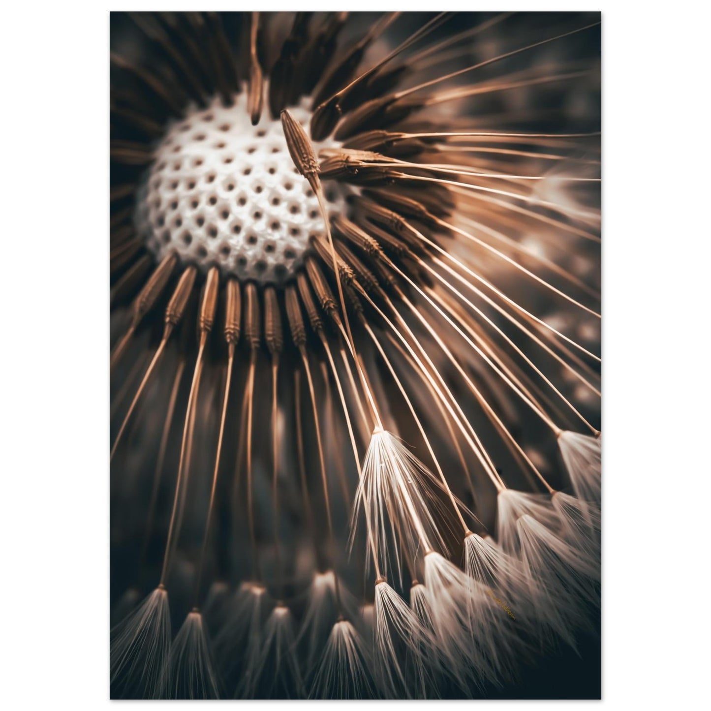 1a9729d5-0157-41d6-b854-50987d0a772e