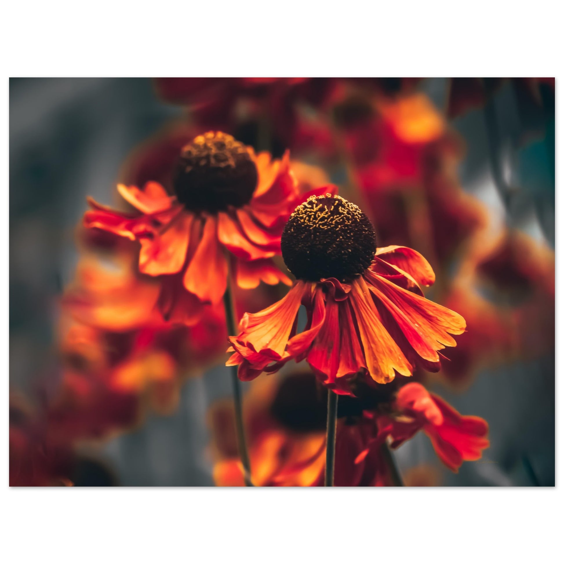 1b6e9d46-d702-4fbf-b27b-0813f6024c68