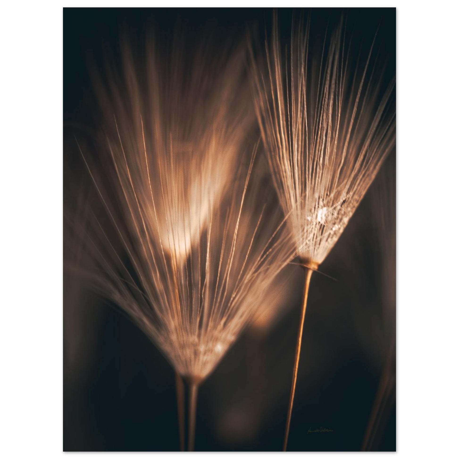 1d6b6f6e-8503-4a83-97db-74b1cfeb771d