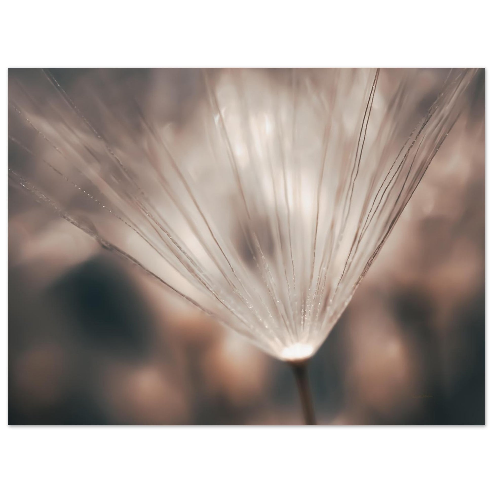 27628cb1-27c7-4f1d-bd9c-9c3769487af4
