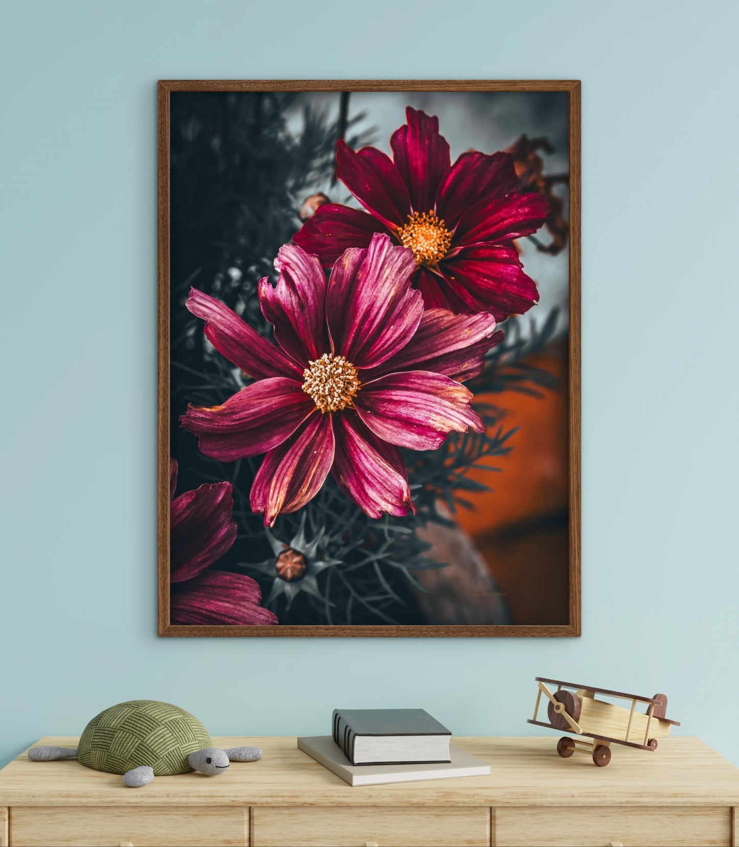 Cosmos life 2