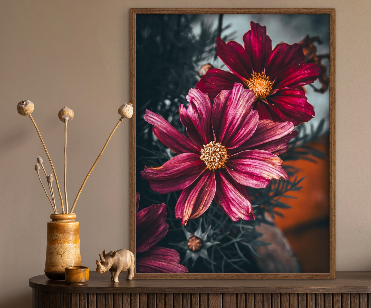 Cosmos life 2