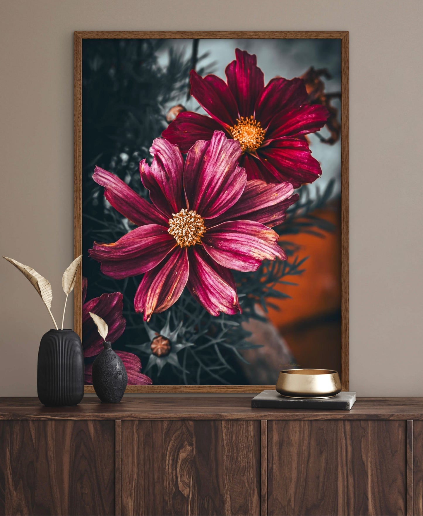 Cosmos life 2