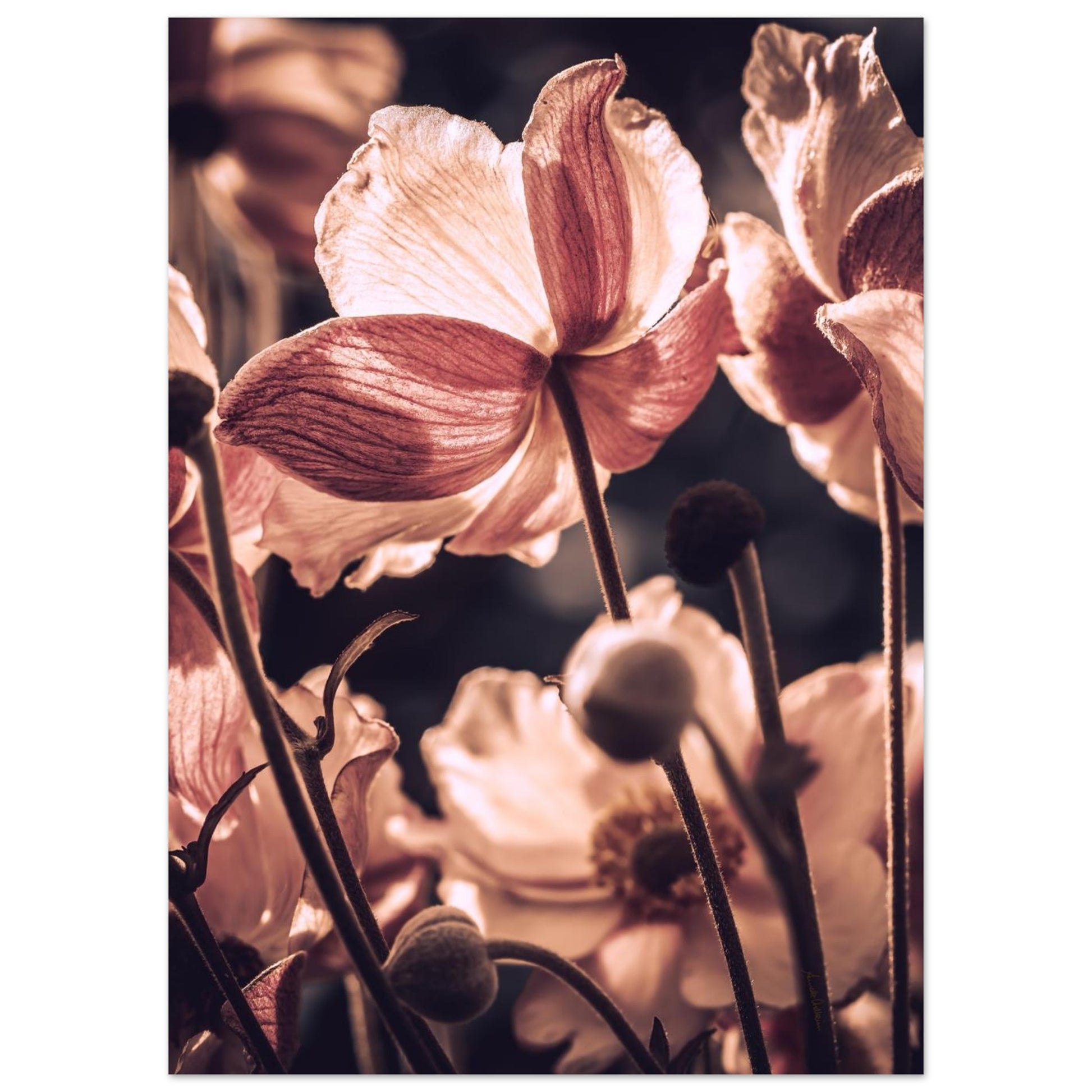 454f303d-a710-456c-aa15-ef0046c3d396