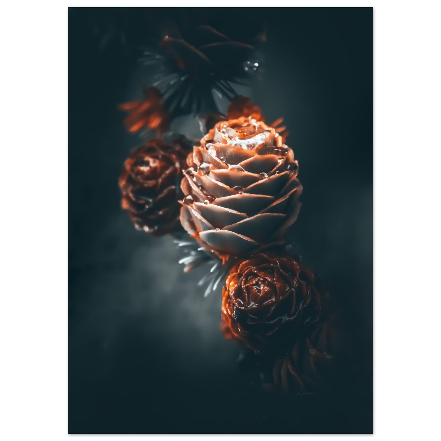 488f54f1-c1eb-4067-a5a3-abf2806c94dc