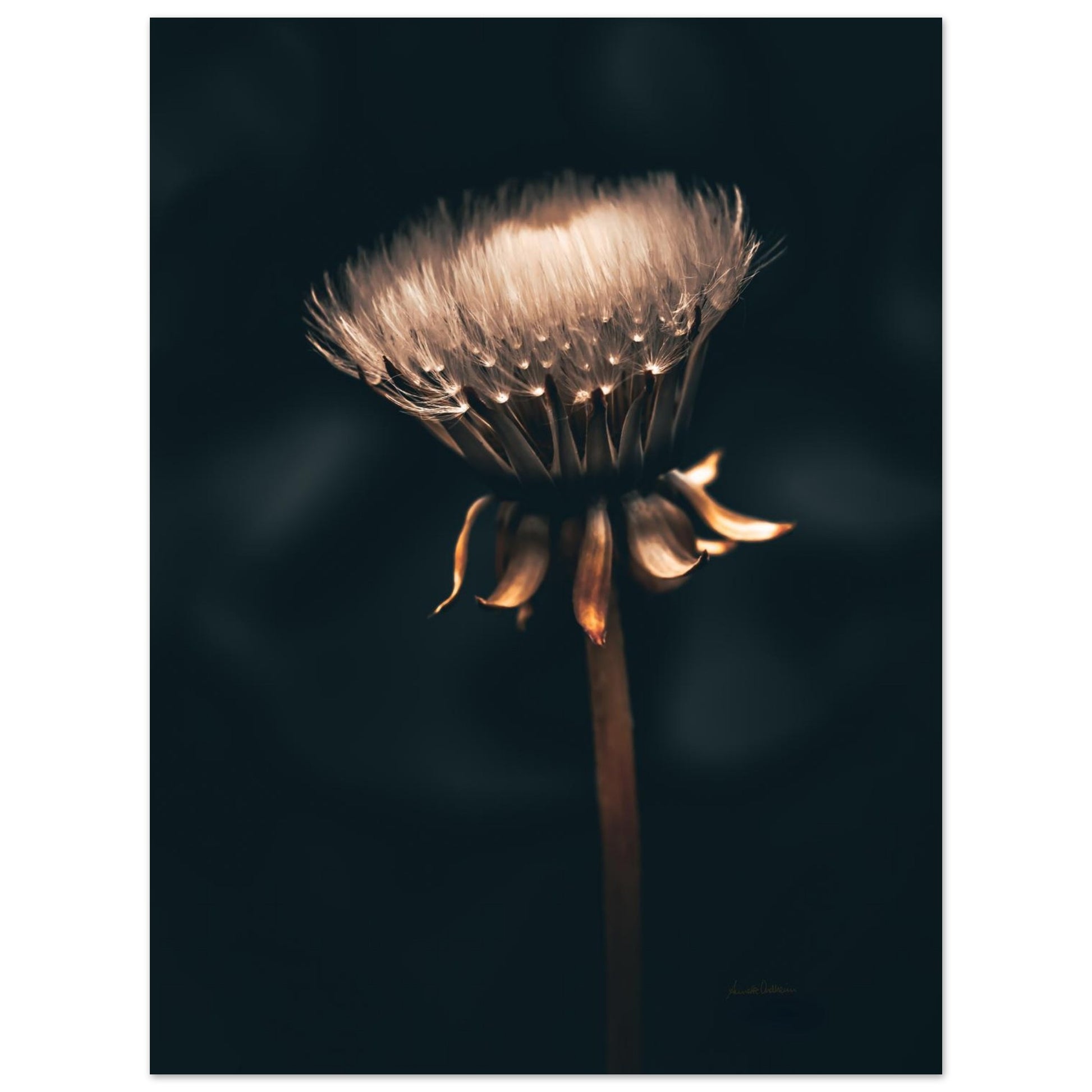 4b1878e7-d232-4f17-b94d-42aaf77cf58d