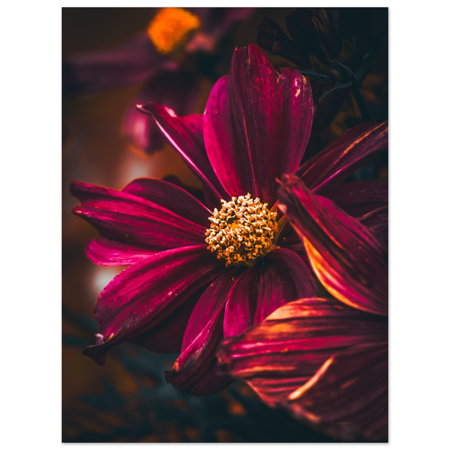 4c5773f1-e254-4f5d-b2c9-16e254b43deb