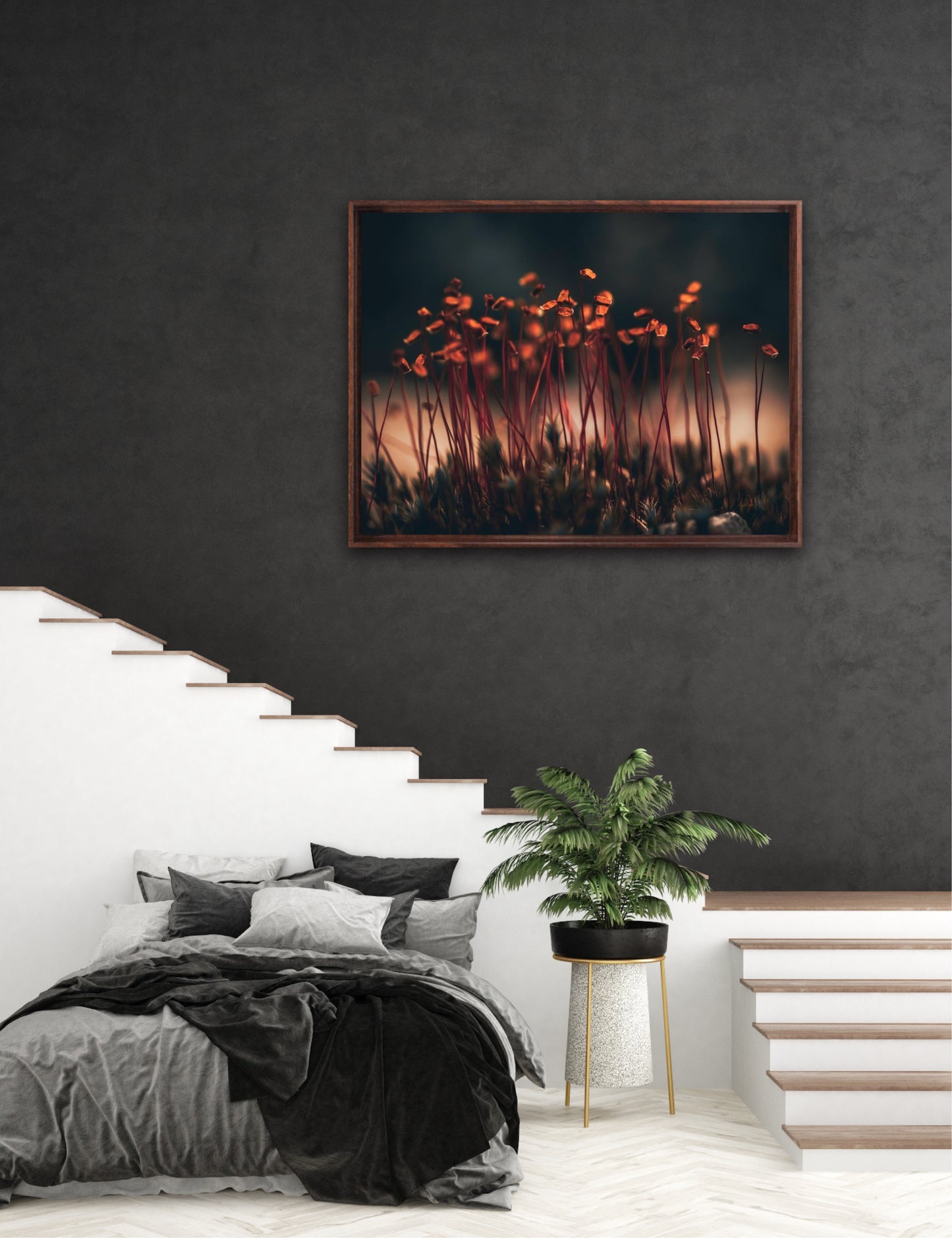 Amber Dreams - landscape format