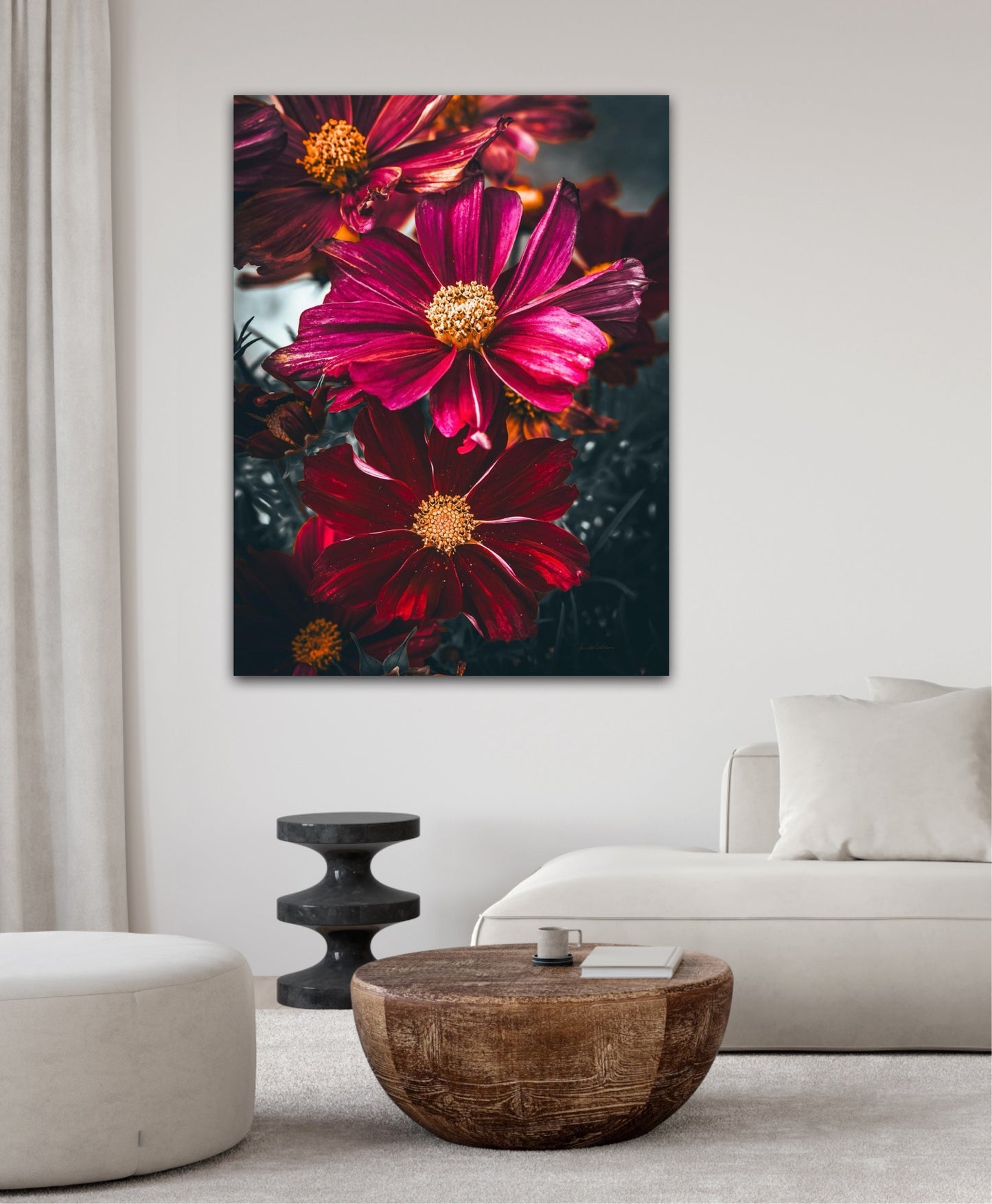 Cosmos life I
