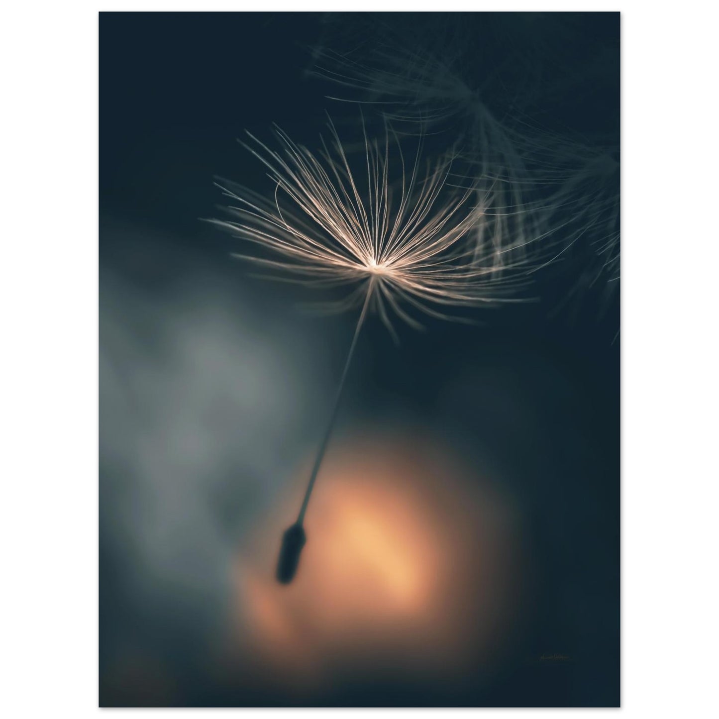 5db35241-f29e-4de1-ad23-7dc74b761677