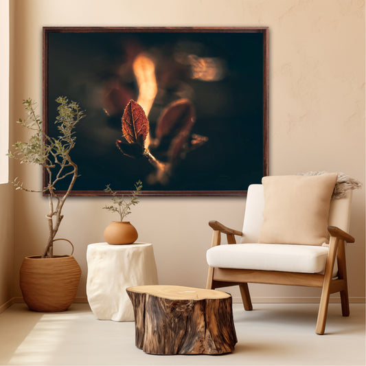 Fire - landscape format
