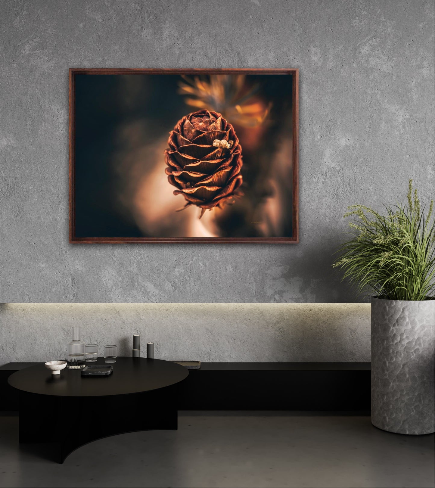 Cone Gold - landscape format