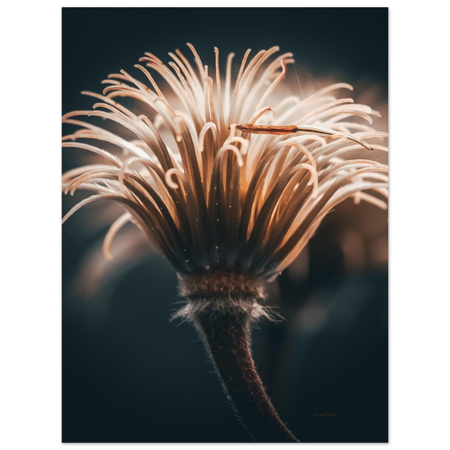 7b9043c5-9f3d-40f6-ac0f-c4294496799b