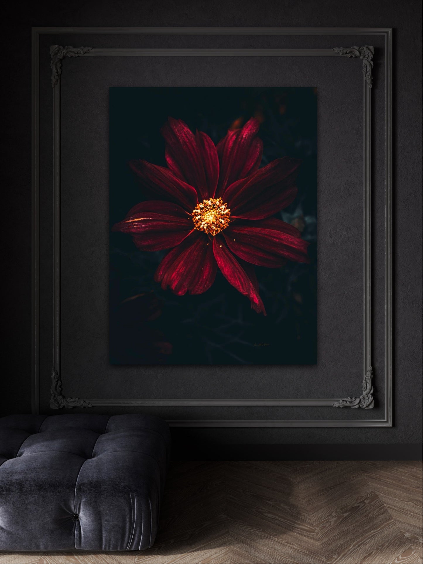 Dark Beauty