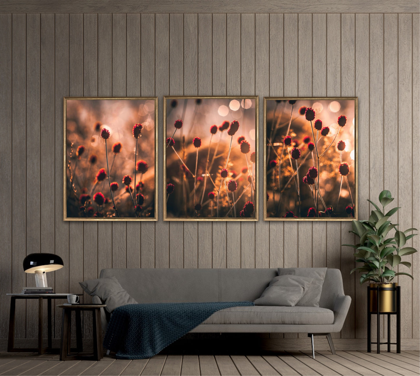 Gold Dawn I