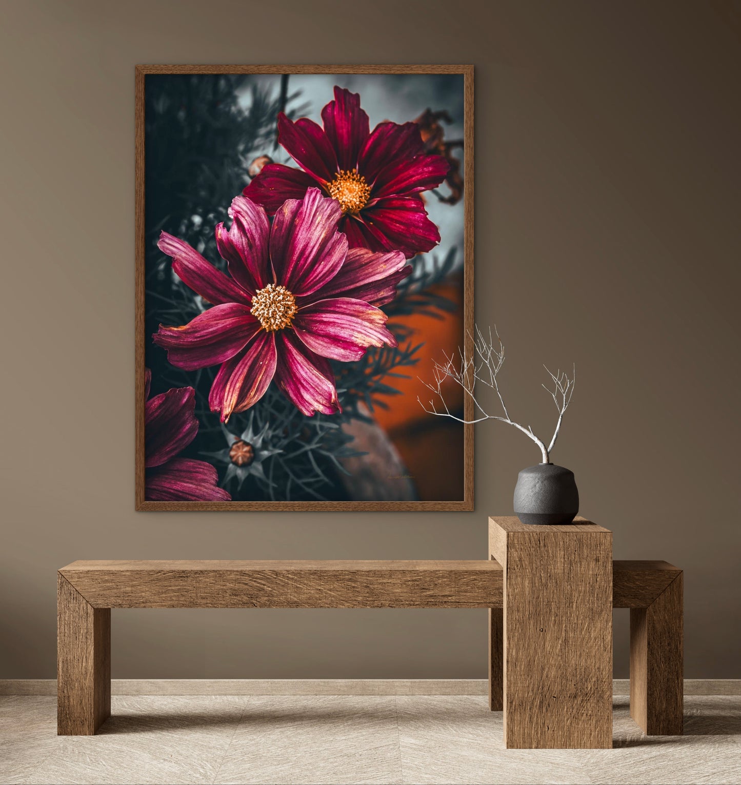Cosmos life 2