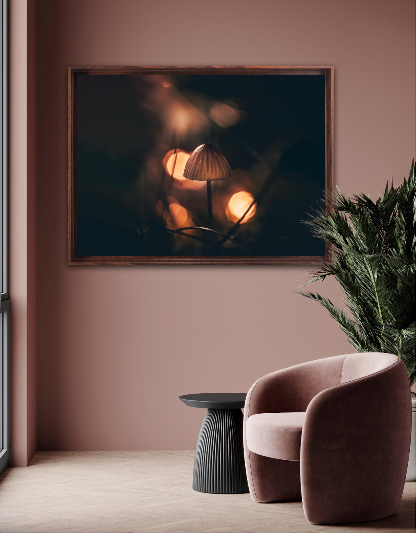 The light - landscape format