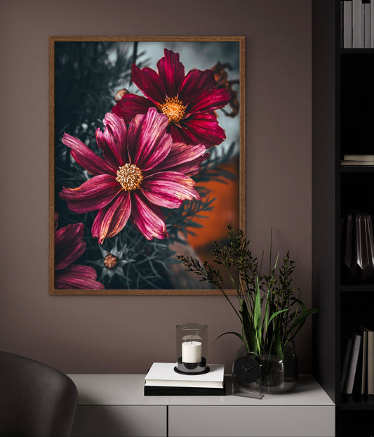 Cosmos life 2