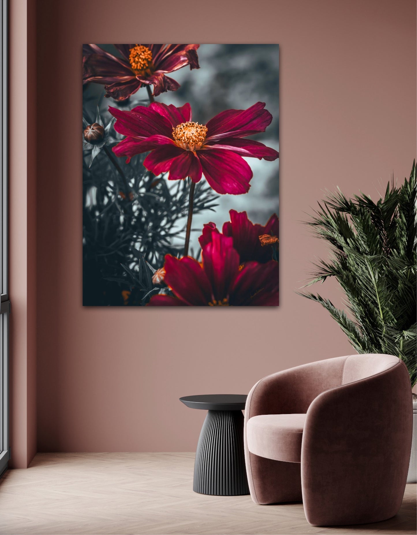 Cosmos life 3
