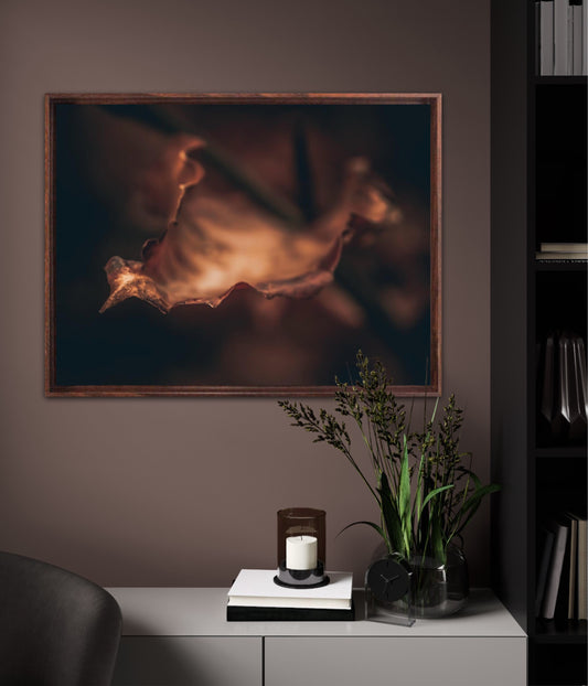 Wonderly II - landscape format