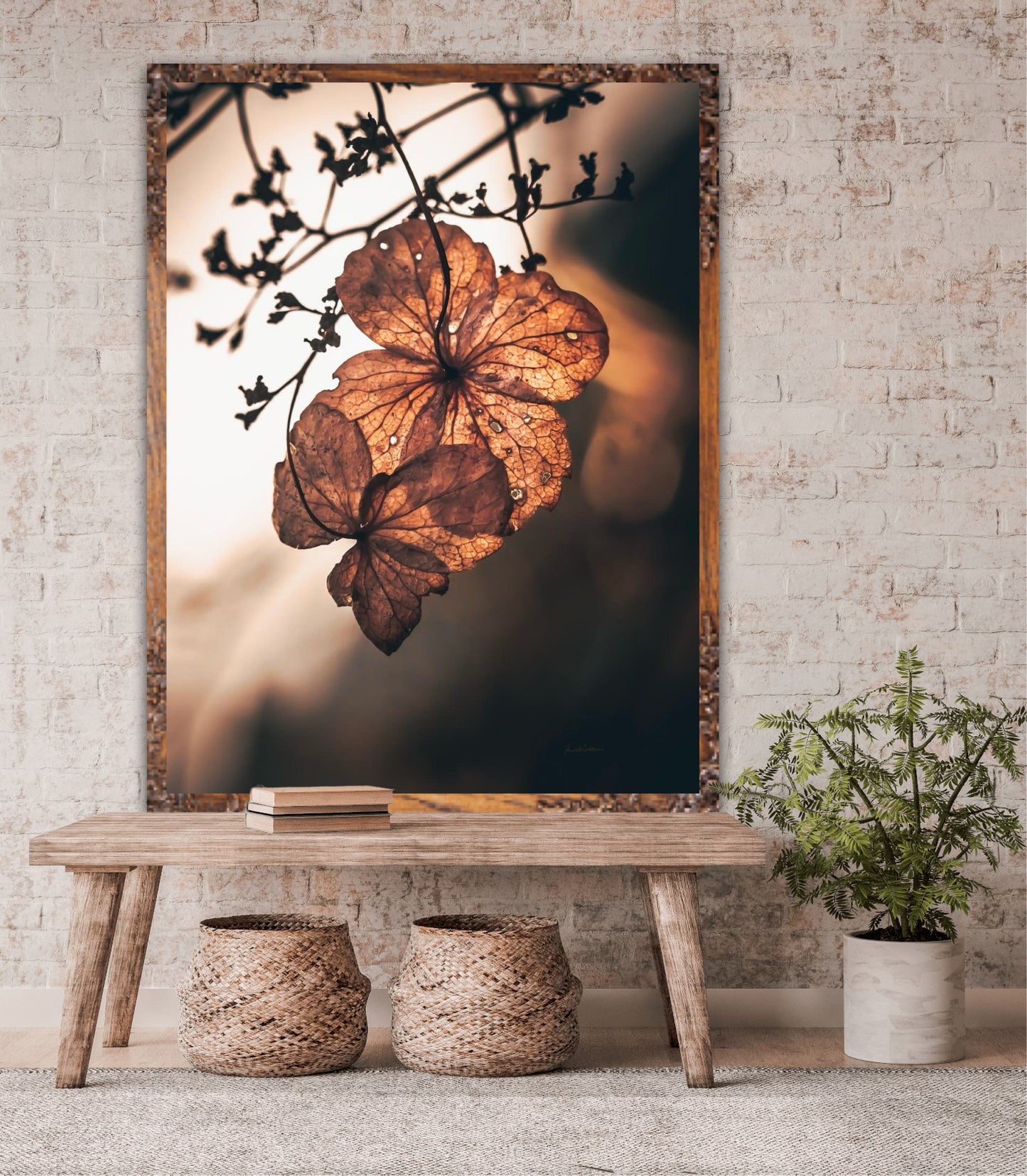 Warmth II