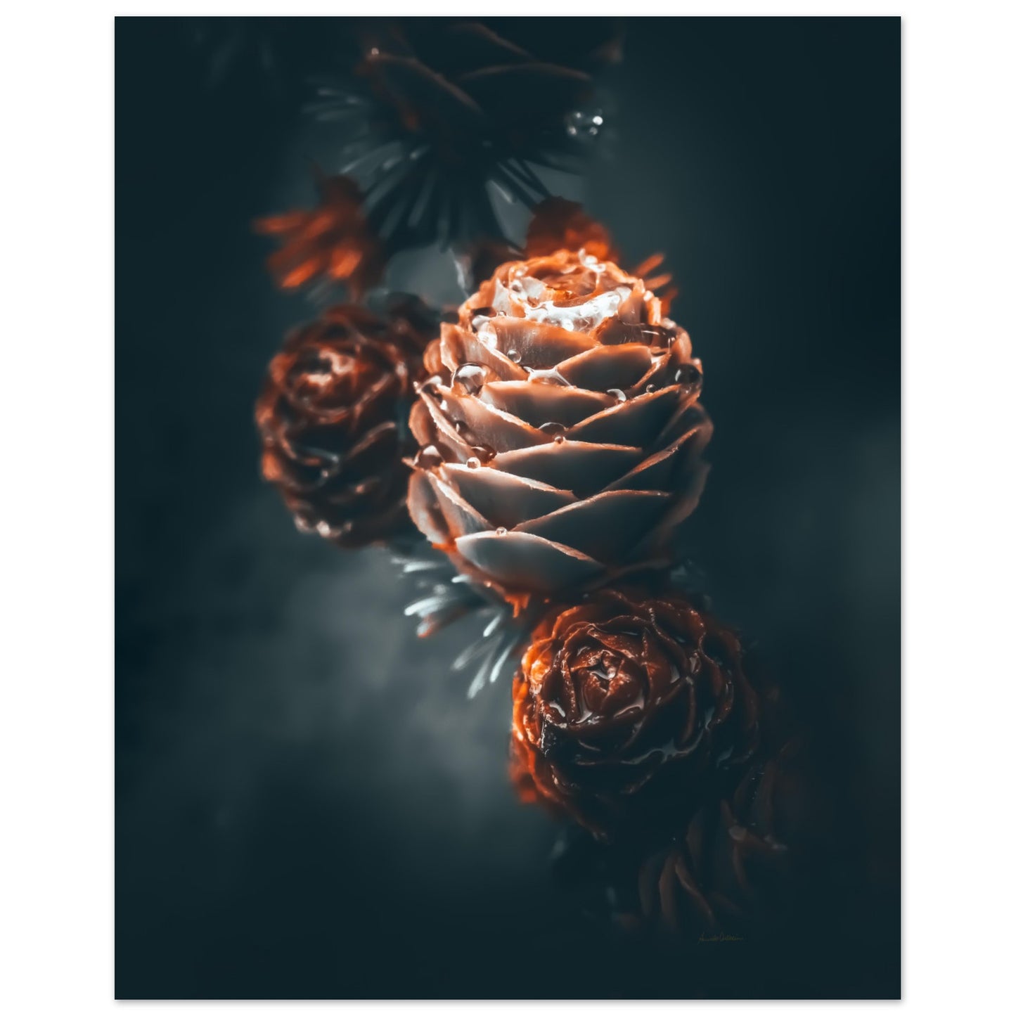 a2d1b409-9d49-4eb0-b787-53bb8f8eeea9