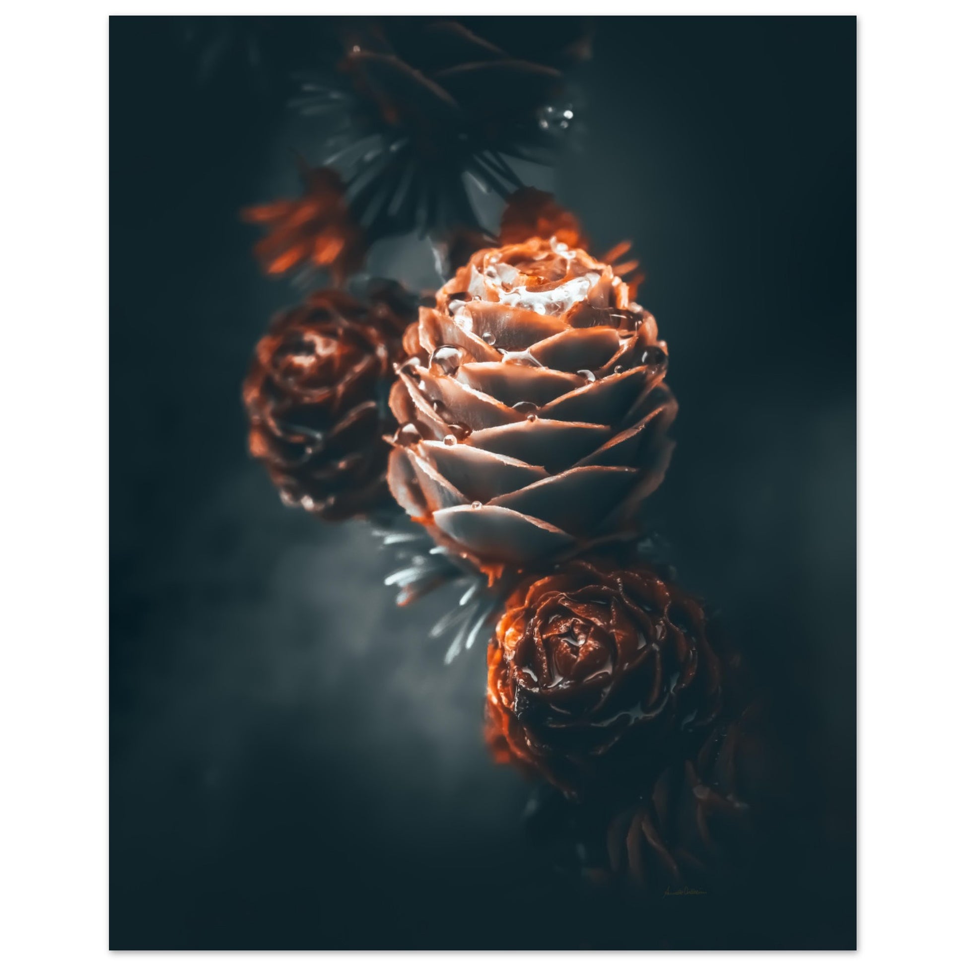 a2d1b409-9d49-4eb0-b787-53bb8f8eeea9
