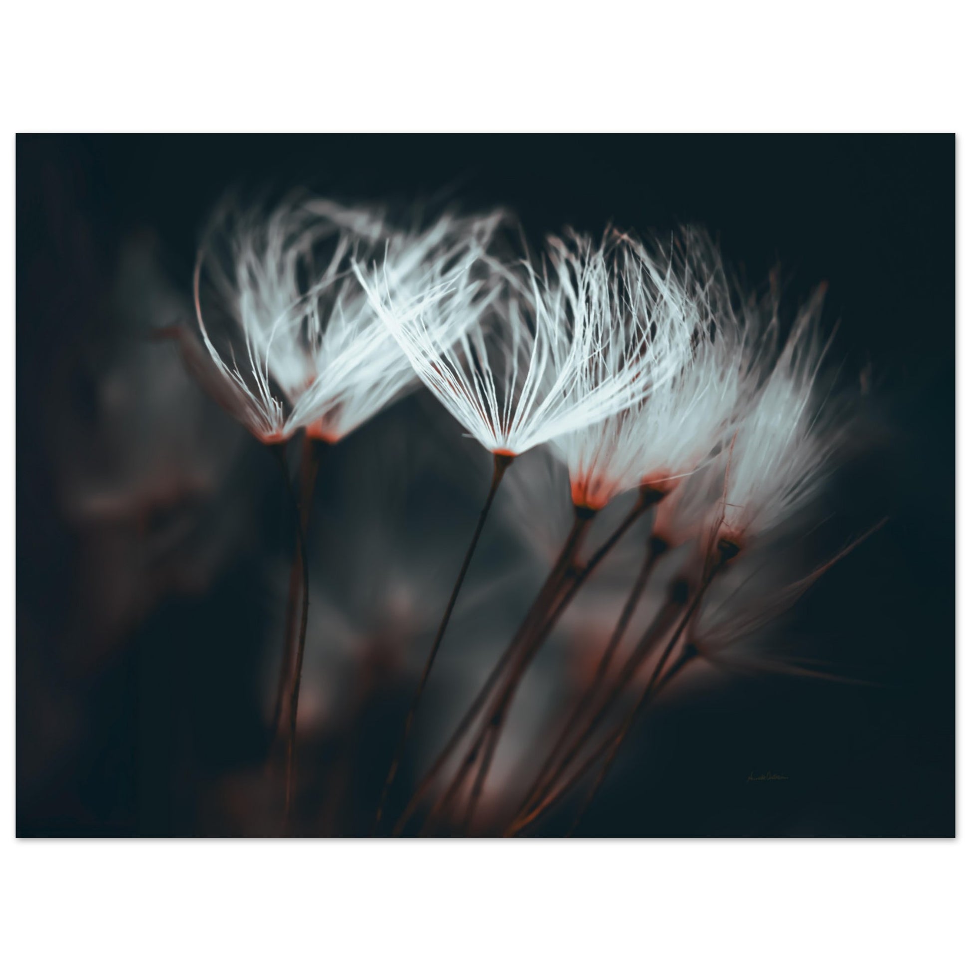 a7400063-eeb4-4669-9d33-ebb250725678
