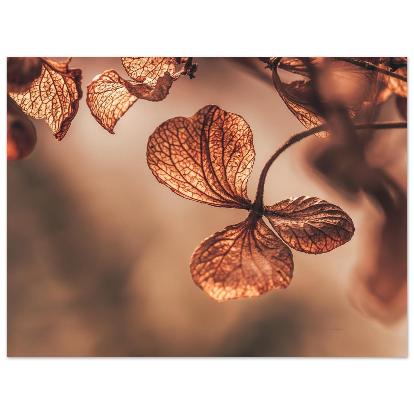 ab5e6c70-f2ae-49f6-a8c1-5409c3d03e58