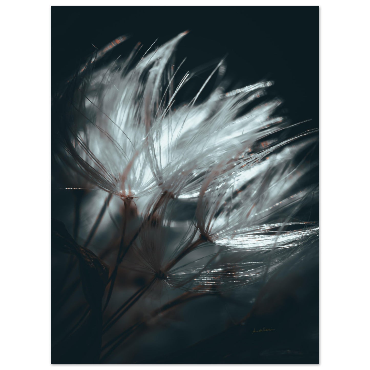b9596bfd-869b-4ed0-aa1a-7e9b7014477c