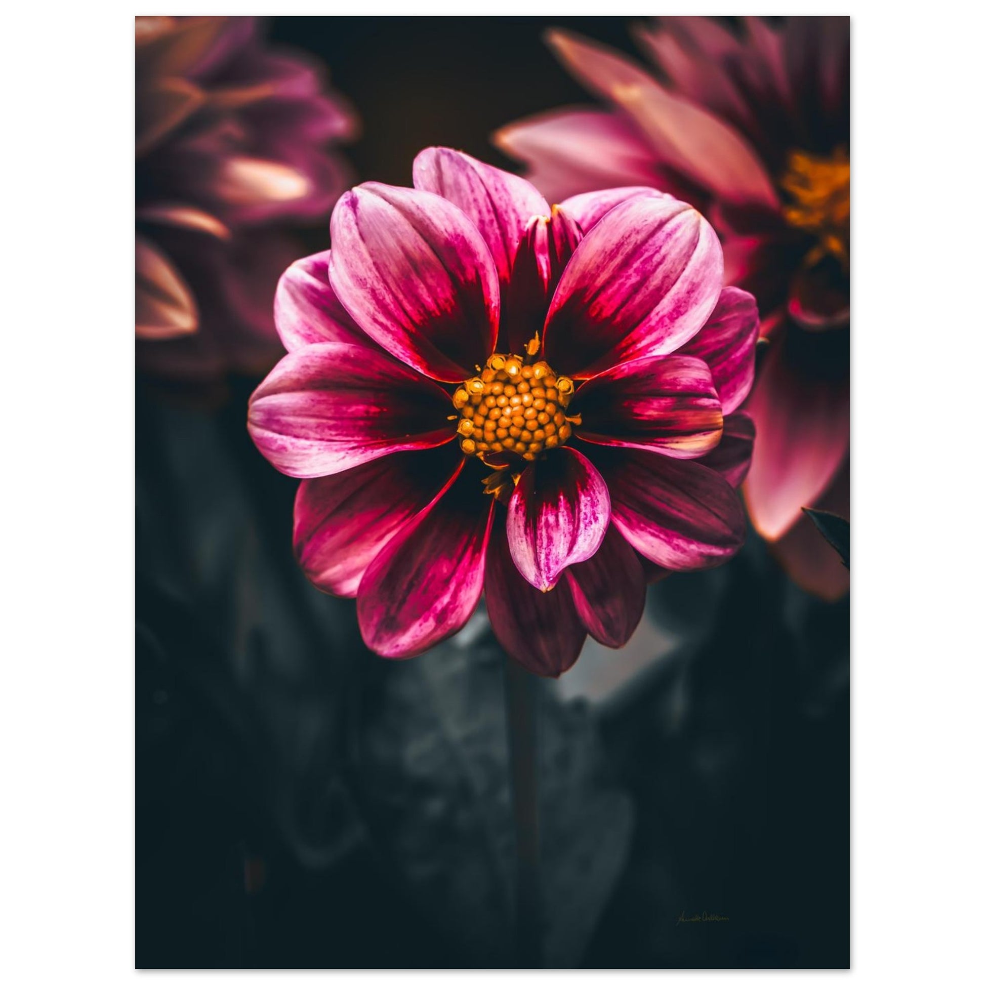 bd756b33-3218-4933-a3d2-4357531d11bc