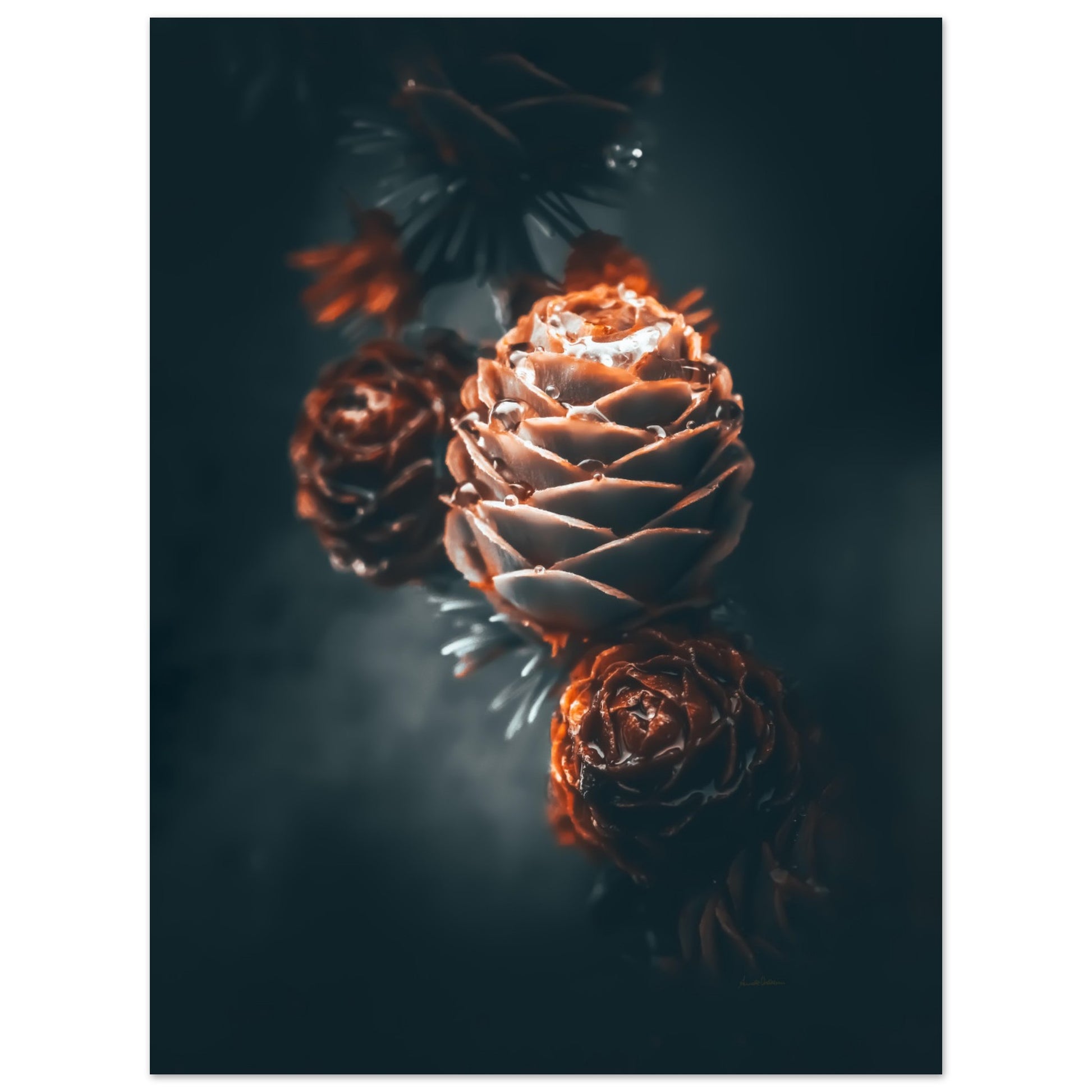 d0fddefe-97b7-4aa2-bb8f-7d70302a37b2