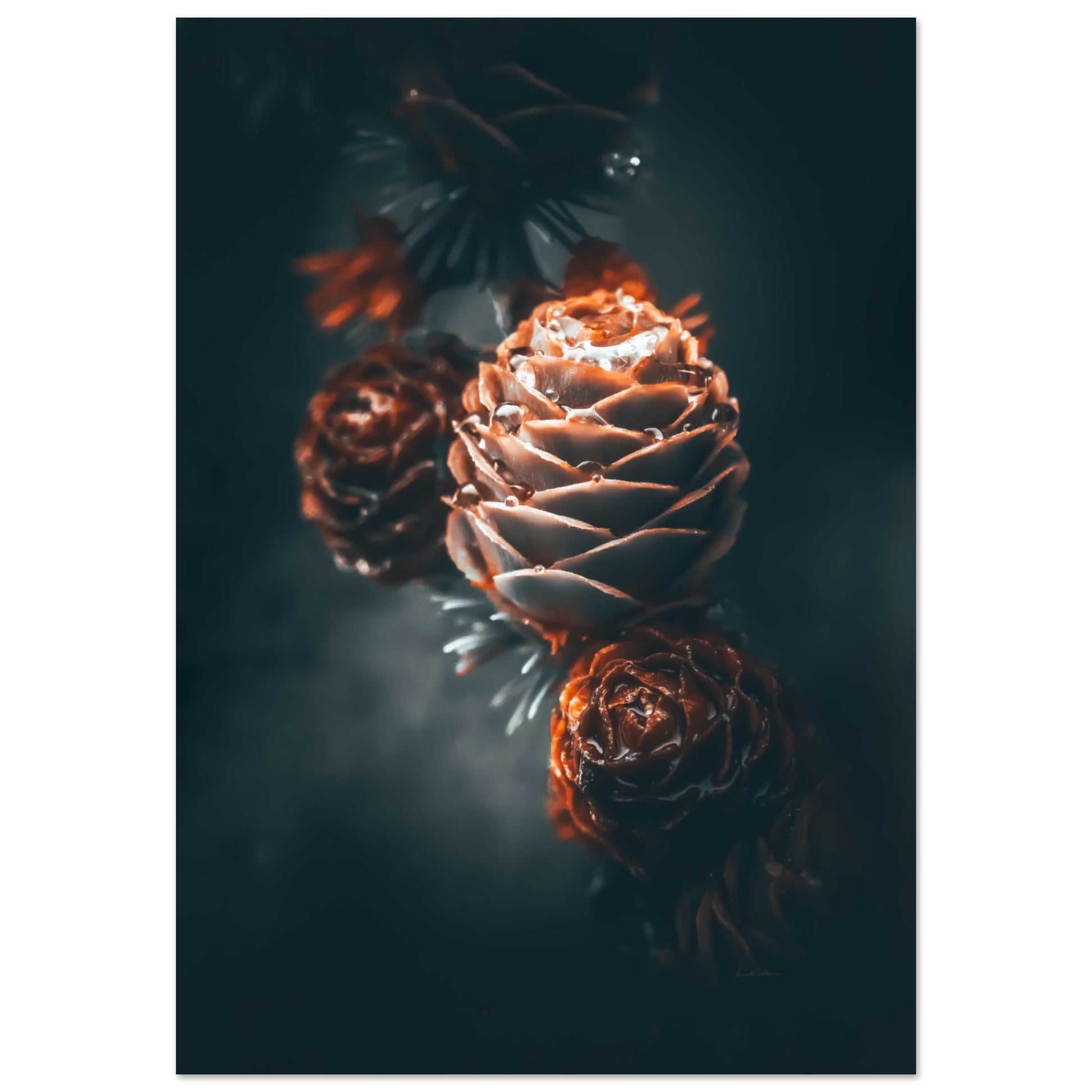 d133e2e3-6b0e-4787-b414-3da87b0d6087
