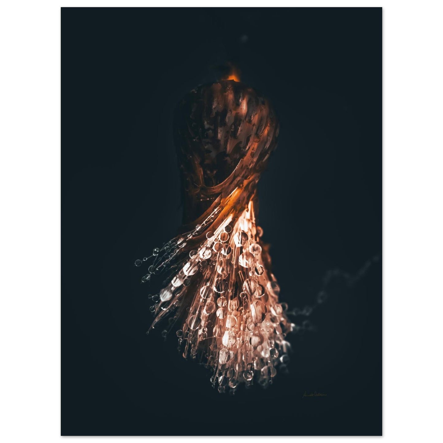 d297c17e-5773-4ece-833b-d881aa3f975f