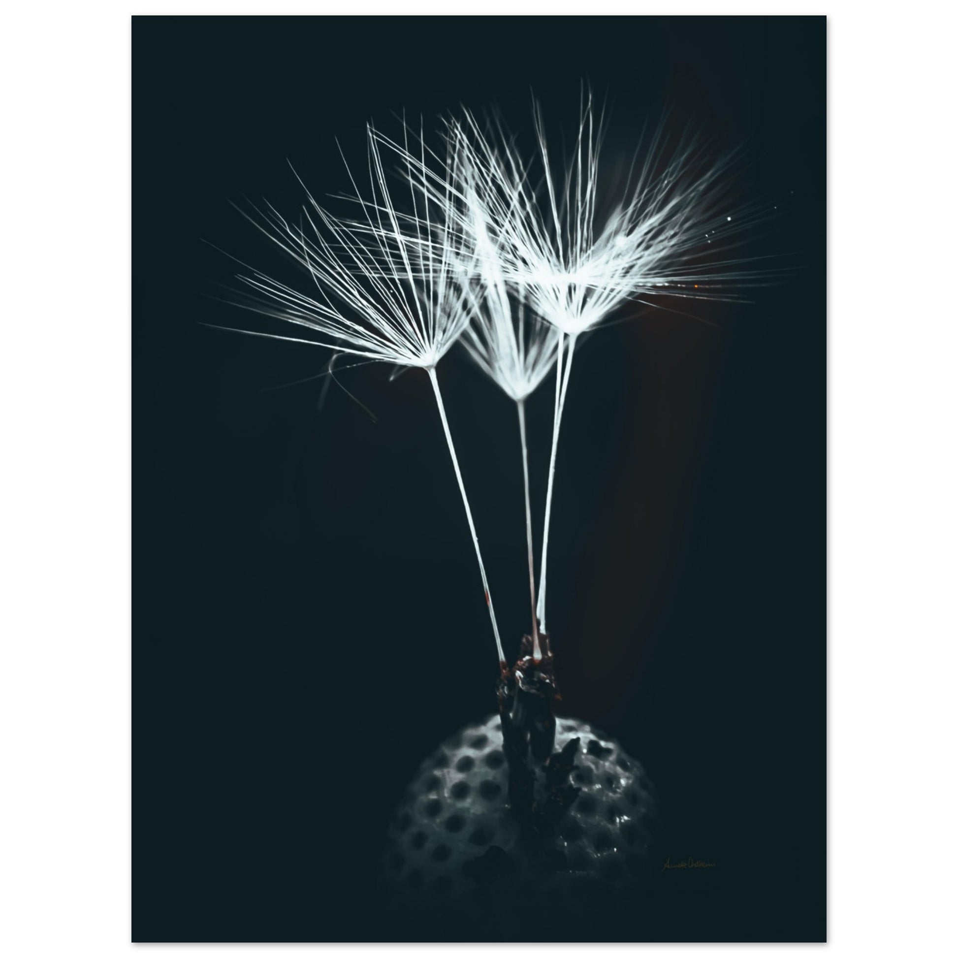 e00da9fb-d430-4adf-be0b-b3168afbe1df
