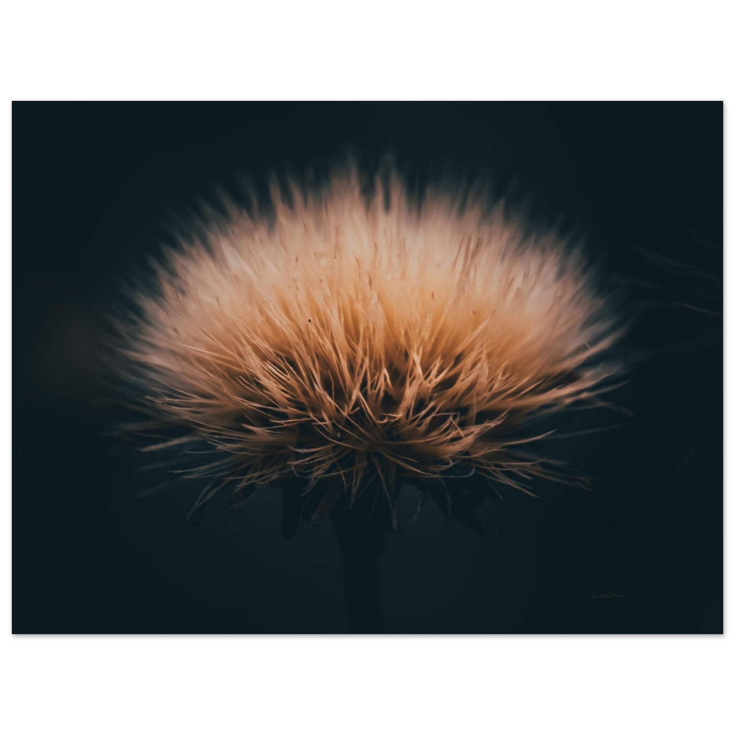 f123f347-a7e6-41bb-98b2-921a165a3d66