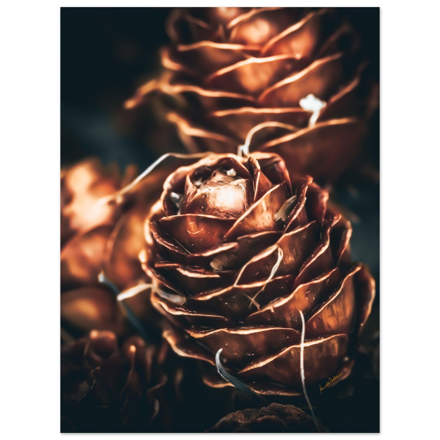 f137b536-11d8-4601-b229-2357f11fdf50