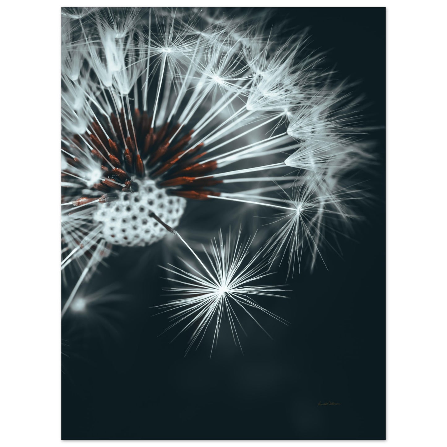 f16c1666-d464-444f-bf4f-a7c9b22d493b