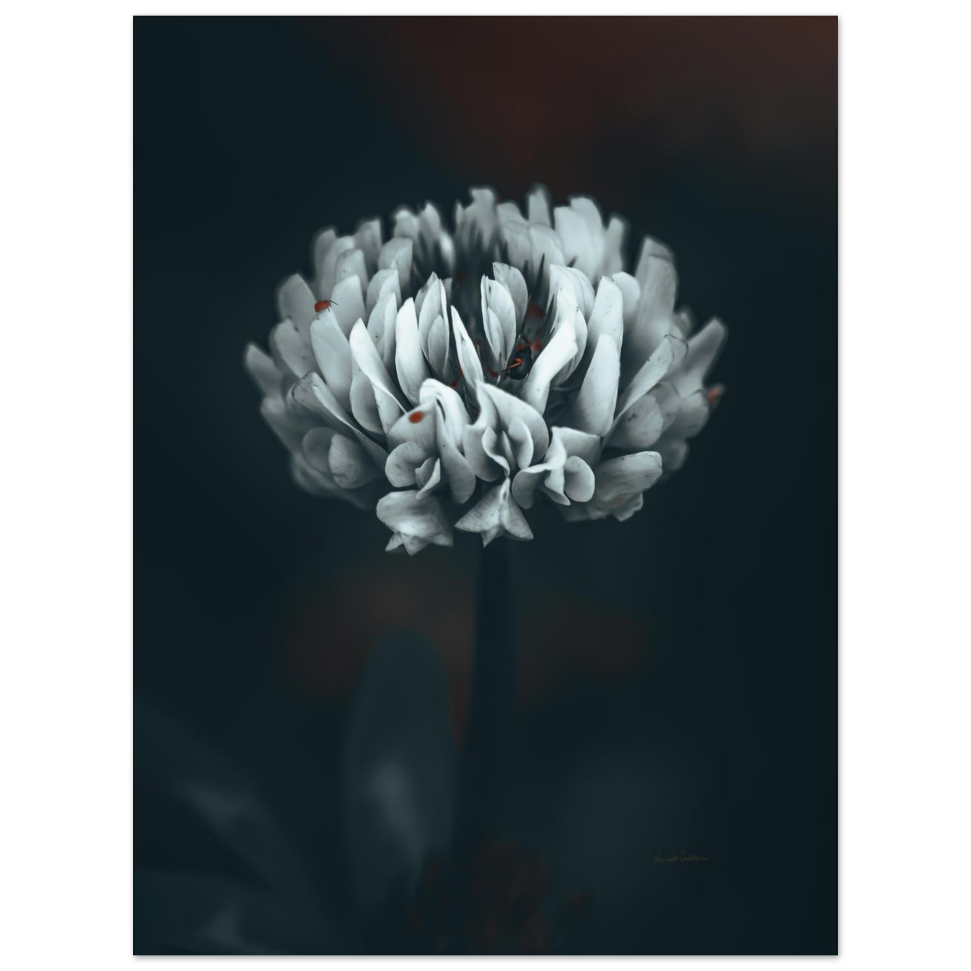 f51edf65-4d53-4a74-a597-93eb00df2133